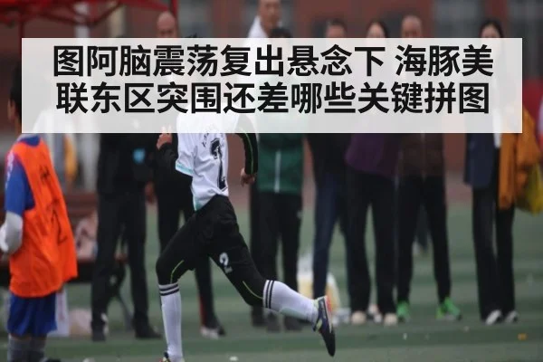 图阿脑震荡复出悬念下 海豚美联东区突围还差哪些关键拼图